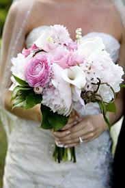 Pit bull terrier · ludowici, ga. Deloach Burr Wedding Floral And Event Design Savannah Georgia Harvey Designs Events
