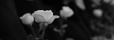 Remplissez simplement ce formulaire : Avis De Deces Et Condoleances Beaufils Funeraire Laval