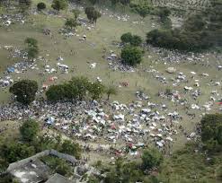 The usgs estimates that the disaster is likely widespread with high casualties probable. Haiti Panico Apos Rumor De Tsunami Tvi24