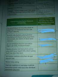 Jadi urutannya yaitu tumbuhan sebagai. Laporan Tentang Rantai Makanan Di Antartika Catatan Brainly Co Id