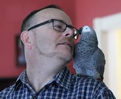 Quincy couple adopt parrots discarded by prior owners