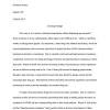 Times new roman, size 12 font, single spaced for the heading, country profile, & works cited (sections i & v only). 1