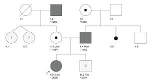 Create your ancestry family trees to begin discovering, preserving and sharing your family history. Cegat Free Pedigree Chart Maker Create Professional Pedigree Charts