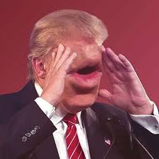 Donald Trump Quotes Popsugar News