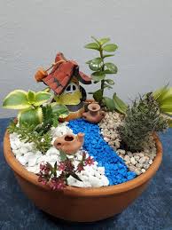 Los cactus y otras suculentas son plantas que agradecen un riego copioso de cuando en cuando. C H Mini Jardines De Cactus Y Suculentas En Macetas De Facebook