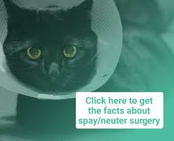 Whether you're traveling for business or to relax, browse our baltimore hotels and suites, and book with our best price guarantee. Maryland Spca Helping Animals In Baltimore