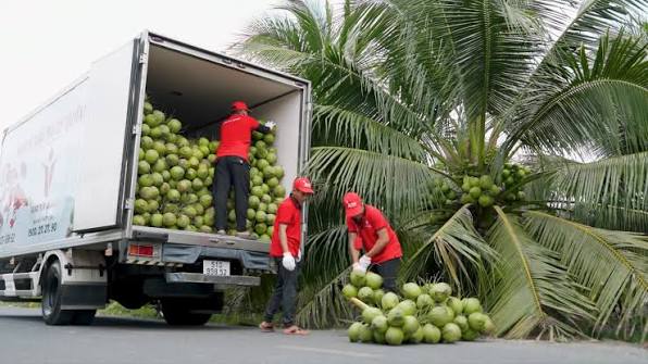 QUY TRÌNH SẢN XUẤT DỪA CHUẨN XUẤT KHẨU🥥 , 🍀Từ những trái dừa tươi ngon đến bàn tay khéo léo của người thợ, mỗi công đoạn đều được kiểm soát nghiêm ngặt để cho ra đời sản phẩm đạt chuẩn xuất khẩu quốc ...