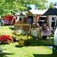 Te Aroha Country Market event in Te Aroha