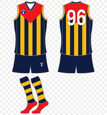 The fitzroy football club is an australian rules football club currently competing in the victorian amateur football association (vafa). Cheerleading Uniforms Hawthorn Football Club North Melbourne Football Club Australian Football League Jersey Png 660x876px Cheerleading