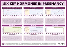 Image result for Pregnane Progestin