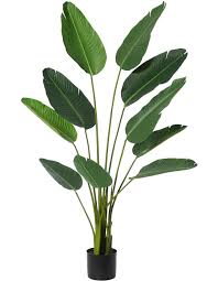 Giant Bird Of Paradise Houseplant Rogue Giant Birds Of Paradise Plant 150cm Myer Birds Of Paradise Plant Artificial Plants Artificial Plants Indoor