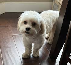 Sorry folks I was in Facebook jail lol. We have to be more carefull about  how we word things now that AI is taking over. From now