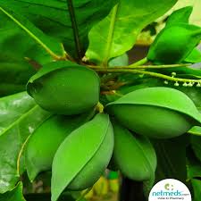 We did not find results for: Almond Tree Health Benefits Nutrition Uses For Skin And Hair Recipes And Side Effects