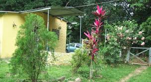 Get the details of the current voyage of. Cabana Missrai Tropical Preise Fotos Bewertungen Adresse Panama