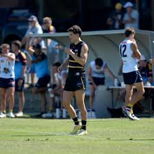 Shepp youngster hits the badminton courts with Vic Country for Melbourne  tournament