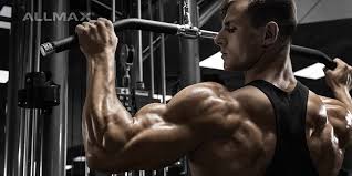 We did not find results for: How To Build Your Rear Delts Allmax Nutrition