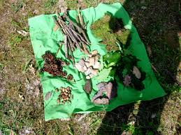Kimspiel Im Wald Alles Mit Einem Tuch Zudecken Die Kinder Sollen Dann Alles Waldmaterial An Da Kinder Basteln Draussen Spielideen Fur Kinder Spiele Im Wald