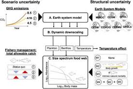 Total allowable catch (tac) and quota management system in the european union. Total Allowable Catch List Of Frontiers Open Access Articles