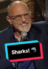 Andrew Cady Shark