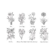 Floral tattoo template black white handdrawn sketch free vector in. Black And White Botanical Flowers Drawing Drawing By Irina Sztukowski