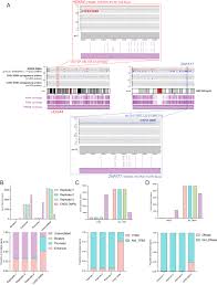 Diagnostic utility of DNA methylation analysis in genetically unsolved  pediatric epilepsies and CHD2 episignature refinement
