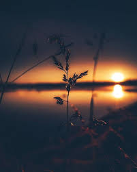 Sometimes it takes more than one try at it to succeed. Photography Nature Wallpaper Cool Photos