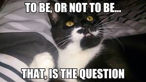 To Be Or Not To Be That Is The Question Meme Little Polly Meme Memes This Or That Questions Animals