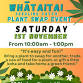 Whaataitai Seedling Catch event image