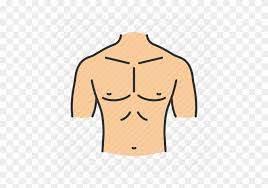 Measure horizontally around the body at the strongest part of the chest with a tape measure. Body Parts Aroung The Chest Bones And Skeleton Learn Biology Class 6 Amrita Vidyalayam Elearning Network Learn Vocabulary Terms And More With Flashcards Games And Other Study Tools Lensa Akupuntatau