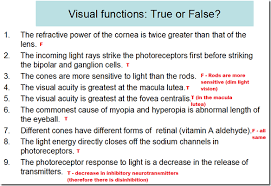 Physiology Of Vision Medatrio