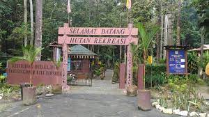Established in 1982, the forest park is one of the places where the locals can visit to enjoy the forest with a waterfall. Sungai Tekala Recreation Forest Semenyih 2021 All You Need To Know Before You Go Tours Tickets With Photos Tripadvisor