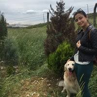 Tuzla Gecici Hayvan Bakim Evi Aydinli 9 Tips