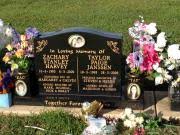 Taylor Paige Janssen