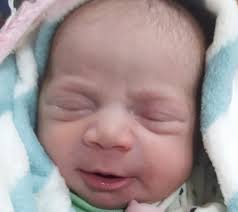 Hope amid the rubble: Help Mahmoud and his family survive and rebuild