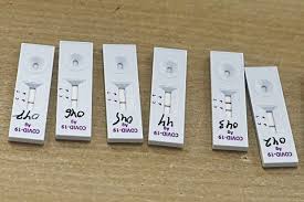 Returnees Must Take Covid 19 Antigen Rapid Test The Star