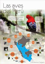 2 Ramirez Delgado Aves Del Peru 1 1 Jpg 1134 1600 Weather And Climate Spanish Climates