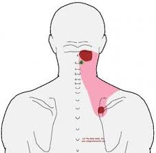 Pin On Exercise I Need To Do But Probably Won T