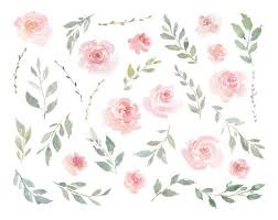 Pink Watercolor Floral Clipart Free Commercial Use Blush Light Etsy In 2020 Floral Watercolor Free Clip Art Pink Watercolor Flower
