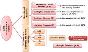 Image result for G6PD Deficiency Detection