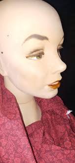 Zim Zum during Mechanical Animals era?