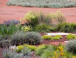 The Australian Garden Taylor Cullity Lethlean Paul Thompson Australian Garden Australian Native Garden Native Garden