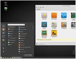 Linux Mint App Store