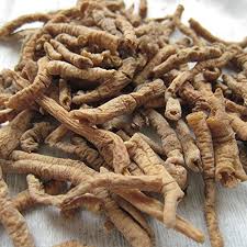 Image result for Polygala xanthina