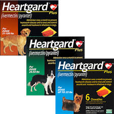 Heartgard Plus For Dogs Free Shipping 49 1800petmeds
