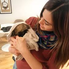 Join us for a captivating insight into how we rescue, rehabilitate and rehome homeless animals and. 9 Local Animal Rescues In North Jersey To Find Your New Bff Hoboken Girl