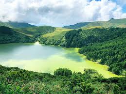 Mountainous, with active volcanoes and unexplored forests. 10 Amazing Things To Do In Flores Azores