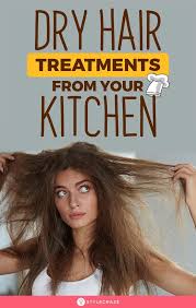 24 Dry Hair Treatments From Your Kitchen In 2020 Dry Hair Treatment Dry Hair Care Dry Brittle Hair Treatment