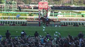 有馬記念２０１３ 現地撮影 オルフェーヴル勝利 勝利 現地 撮影