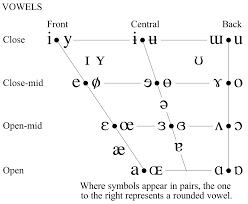 P · papa · ▭ ▭ ; File The International Phonetic Alphabet 2015 Version Cropped Only Vowels Svg Wikimedia Commons