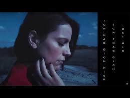 evelynfetzer1@gmail.com